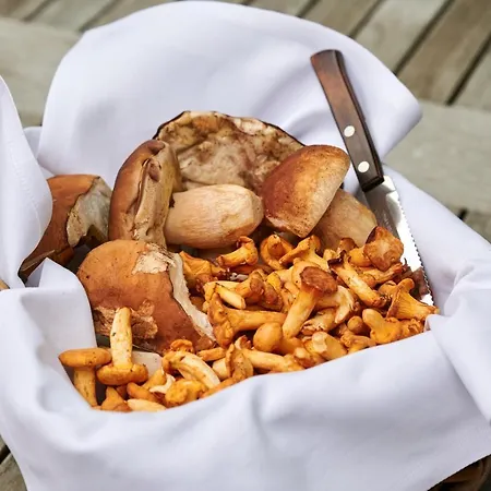 & Restaurant Linde Hotel Münstertal